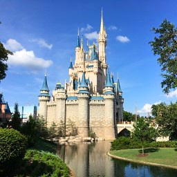 Magic Kingdom News