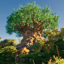 Animal Kingdom News